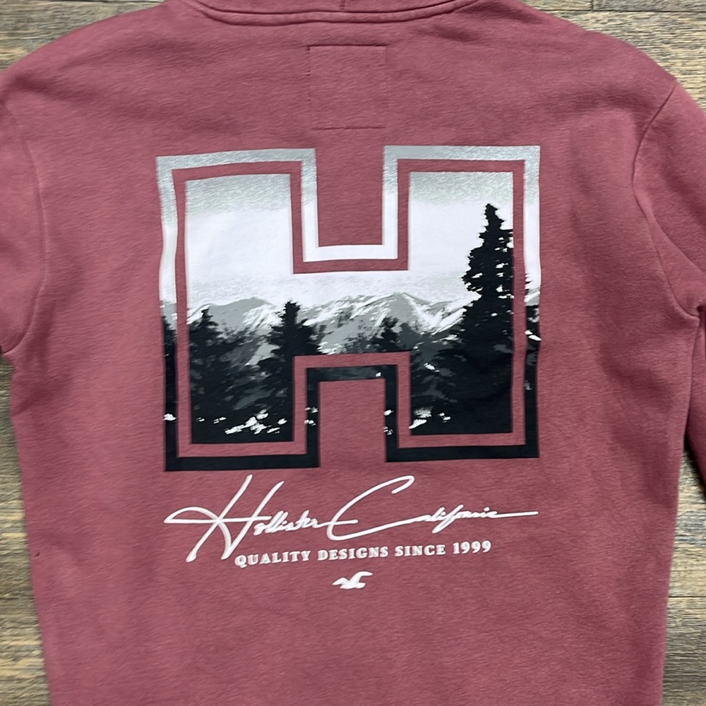 Holister California Hooded Sweatshirt - Picture 5 of 6